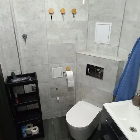 Apartment Juki 2, Obok Katowice Wynajem Na Doby, Krotkoterminowy, 2 Pokoje, Mozliwosc Dodatkowych Dwoch Osob Na Rogowce W Salonie Za Dodatkowa Oplata, 37m2,- Po Kapitalnym Remoncie, Wifi Chorzów
