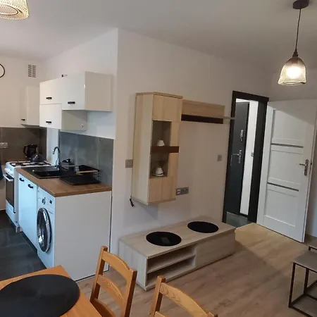 Juki 2, Obok Katowice Wynajem Na Doby, Krotkoterminowy, 2 Pokoje, Mozliwosc Dodatkowych Dwoch Osob Na Rogowce W Salonie Za Dodatkowa Oplata, 37m2,- Po Kapitalnym Remoncie, Wifi *