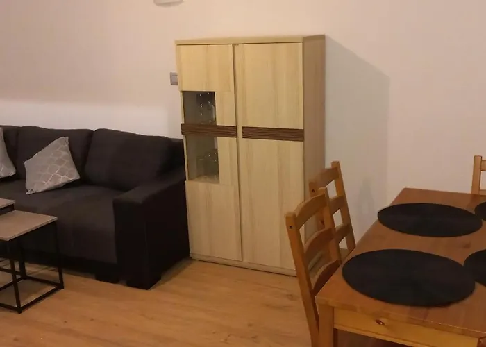 Juki 2, Obok Katowice Wynajem Na Doby, Krotkoterminowy, 2 Pokoje, Mozliwosc Dodatkowych Dwoch Osob Na Rogowce W Salonie Za Dodatkowa Oplata, 37m2,- Po Kapitalnym Remoncie, Wifi Appartamento *