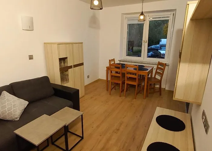 Juki 2, Obok Katowice Wynajem Na Doby, Krotkoterminowy, 2 Pokoje, Mozliwosc Dodatkowych Dwoch Osob Na Rogowce W Salonie Za Dodatkowa Oplata, 37m2,- Po Kapitalnym Remoncie, Wifi Appartamento