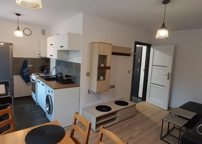 Juki 2, Obok Katowice Wynajem Na Doby, Krotkoterminowy, 2 Pokoje, Mozliwosc Dodatkowych Dwoch Osob Na Rogowce W Salonie Za Dodatkowa Oplata, 37m2,- Po Kapitalnym Remoncie, Wifi *